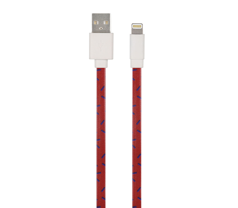 Print MFi Cable