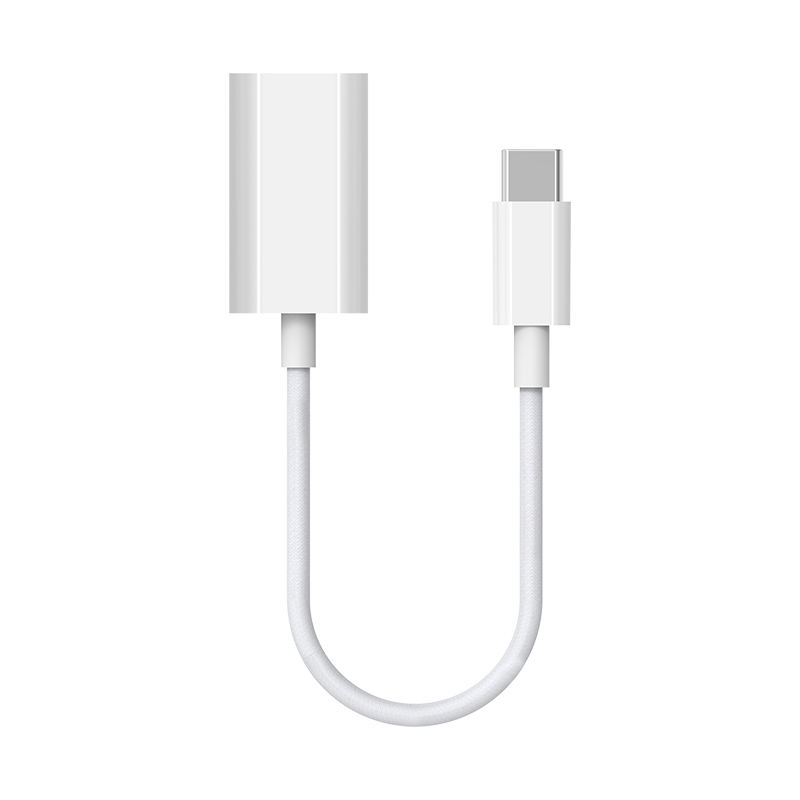 C to Lightning female adapter 10CM