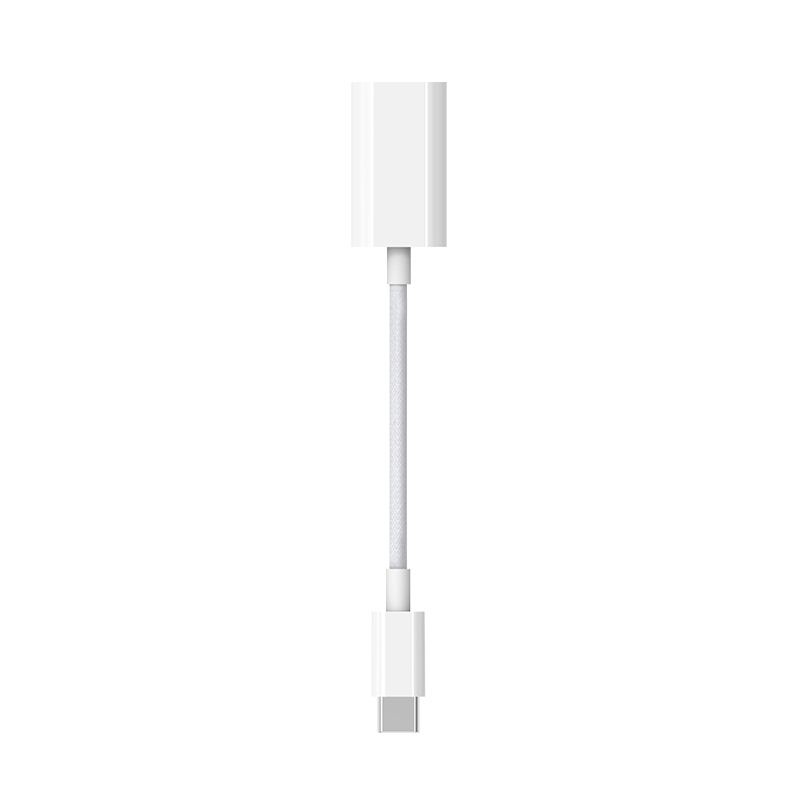 C to Lightning female adapter 10CM