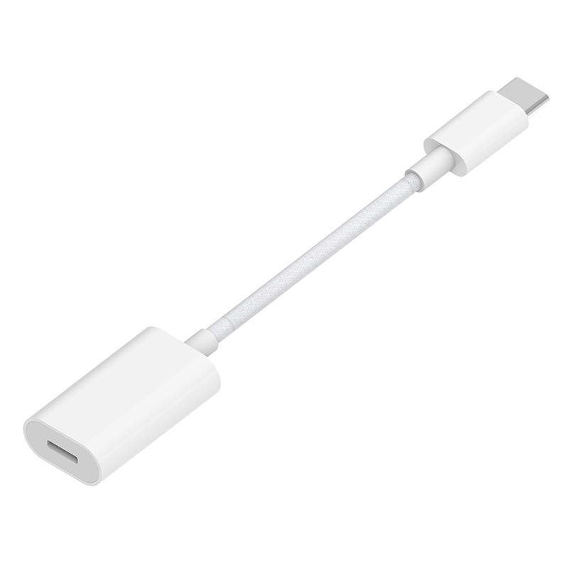 C to Lightning female adapter 10CM